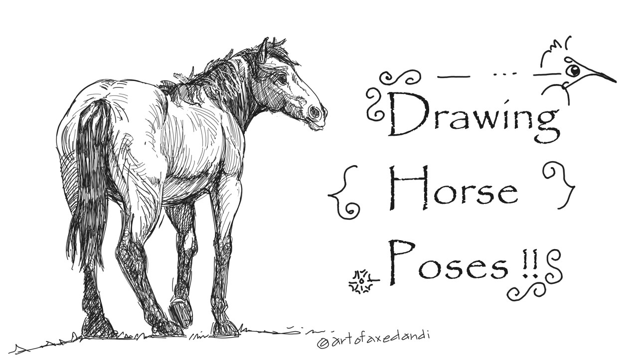 How To Draw A Horse | Step By Step
