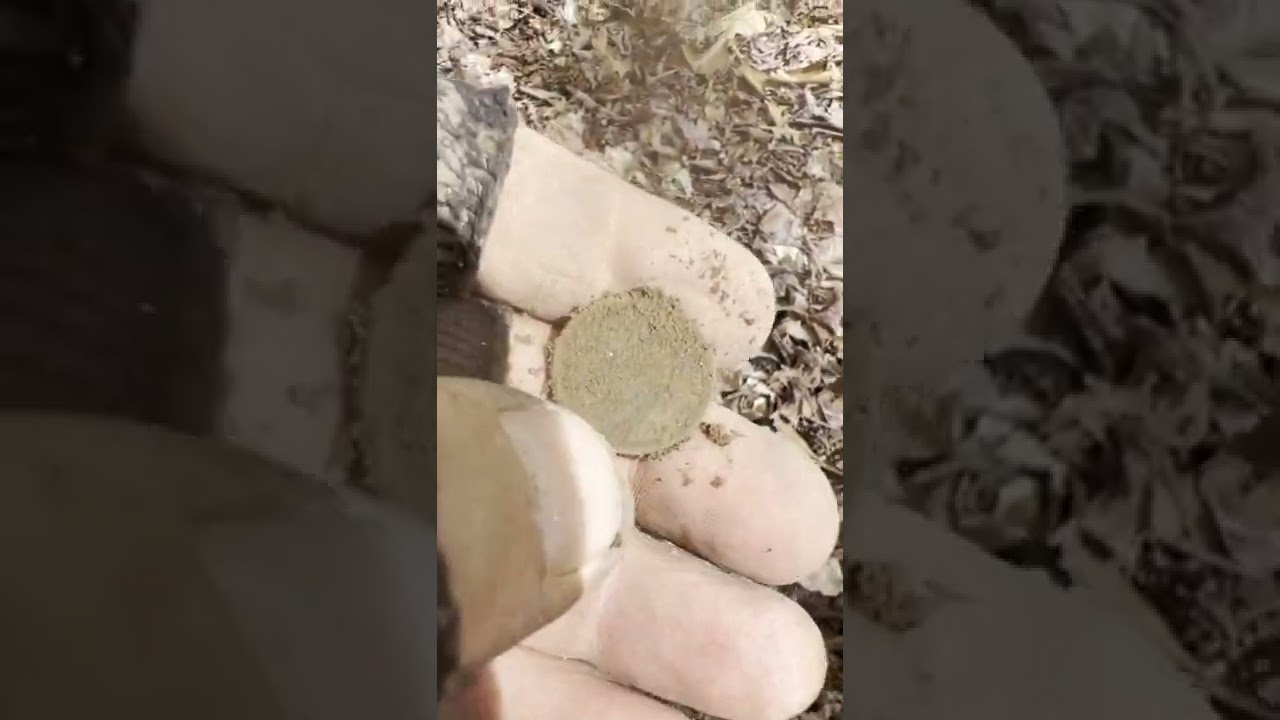 Northern New Jersey quick Metal Detecting, May 1, 2022