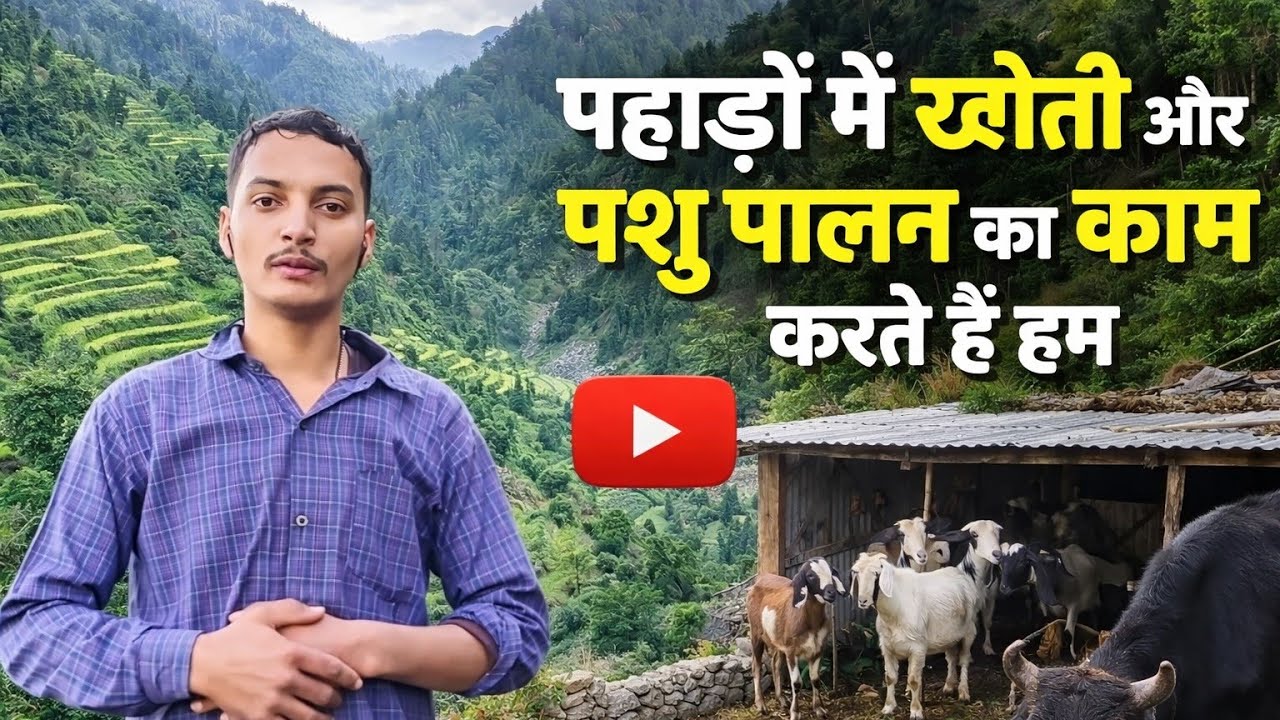 पहाड़ों में खेती के साथ साथ पशु पालन के लिए काफी मेहनत करनी पड़ती हैं ।।
