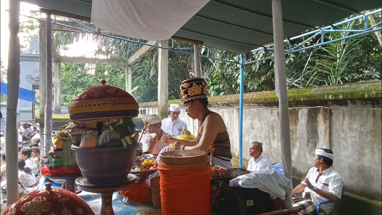 🔴 Rahajeng Rahina Budha Kliwon Ugu Acara Ngerainin Alit Di Pura Dalem Gandamayuwilaka Sangiang 2026.