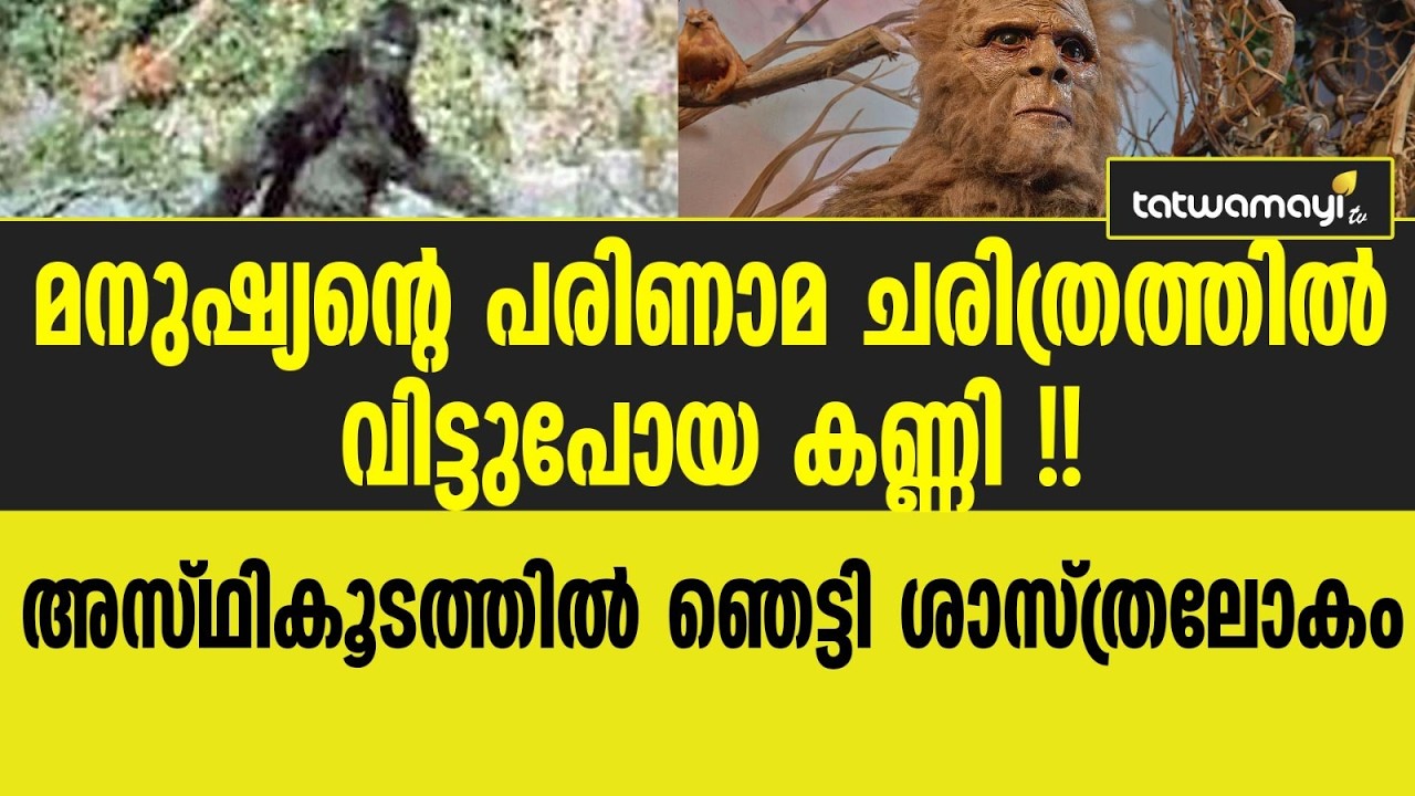 മനുഷ്യന്റെ പരിണാമ ചരിത്രത്തിൽ വിട്ടുപോയ കണ്ണി !! അസ്ഥികൂടത്തിൽ ഞെട്ടി ശാസ്ത്രലോകം