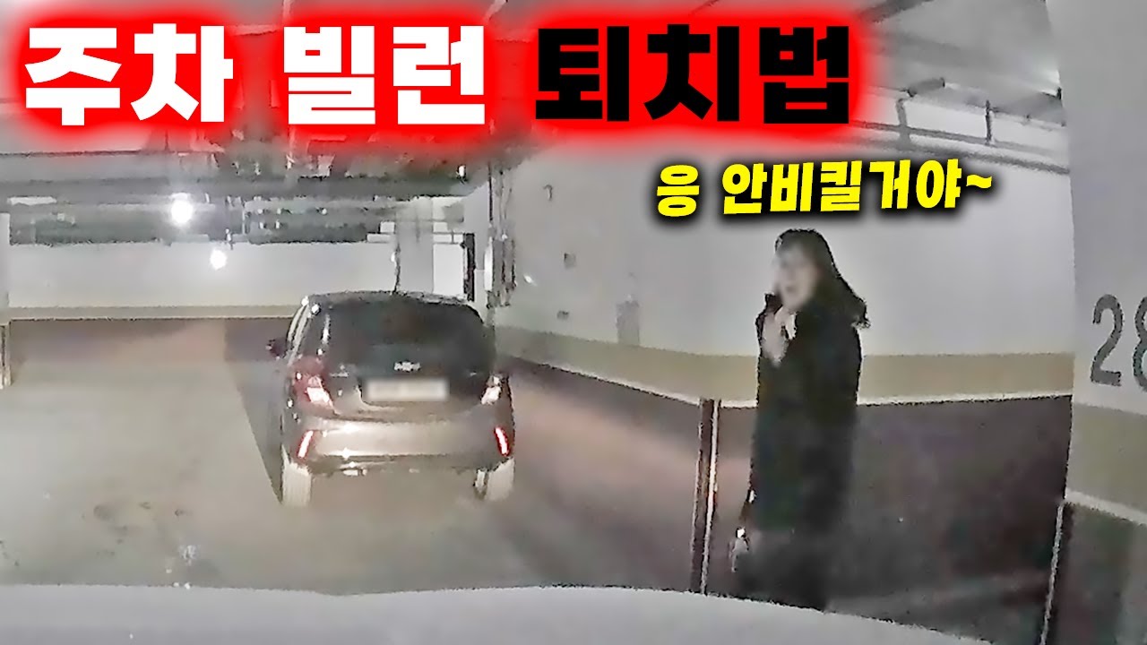 [그것이 블랙박스] 속이 뻥 뚫리네ㅋㅋ 제보자의 개사이다 주차 빌런 참교육 2024최신블랙박스모음집