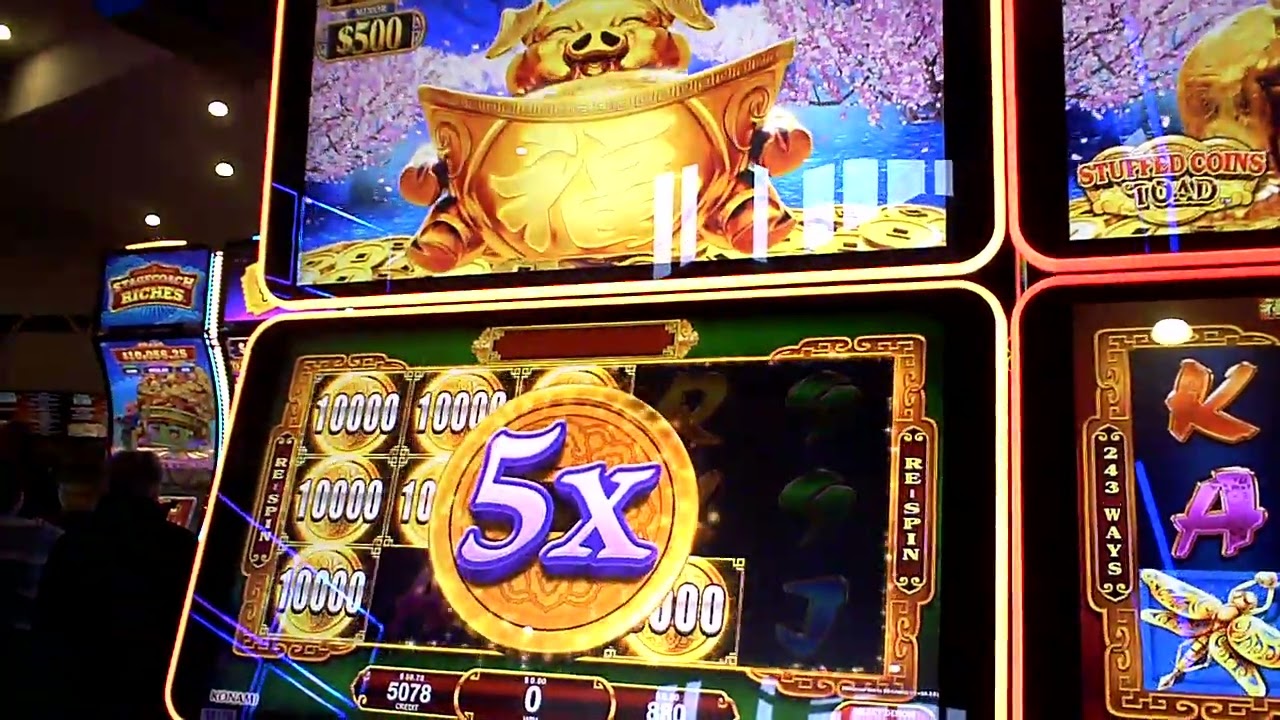 Stuffed Coin Pig Slot Machine GREAT WIN Bonus