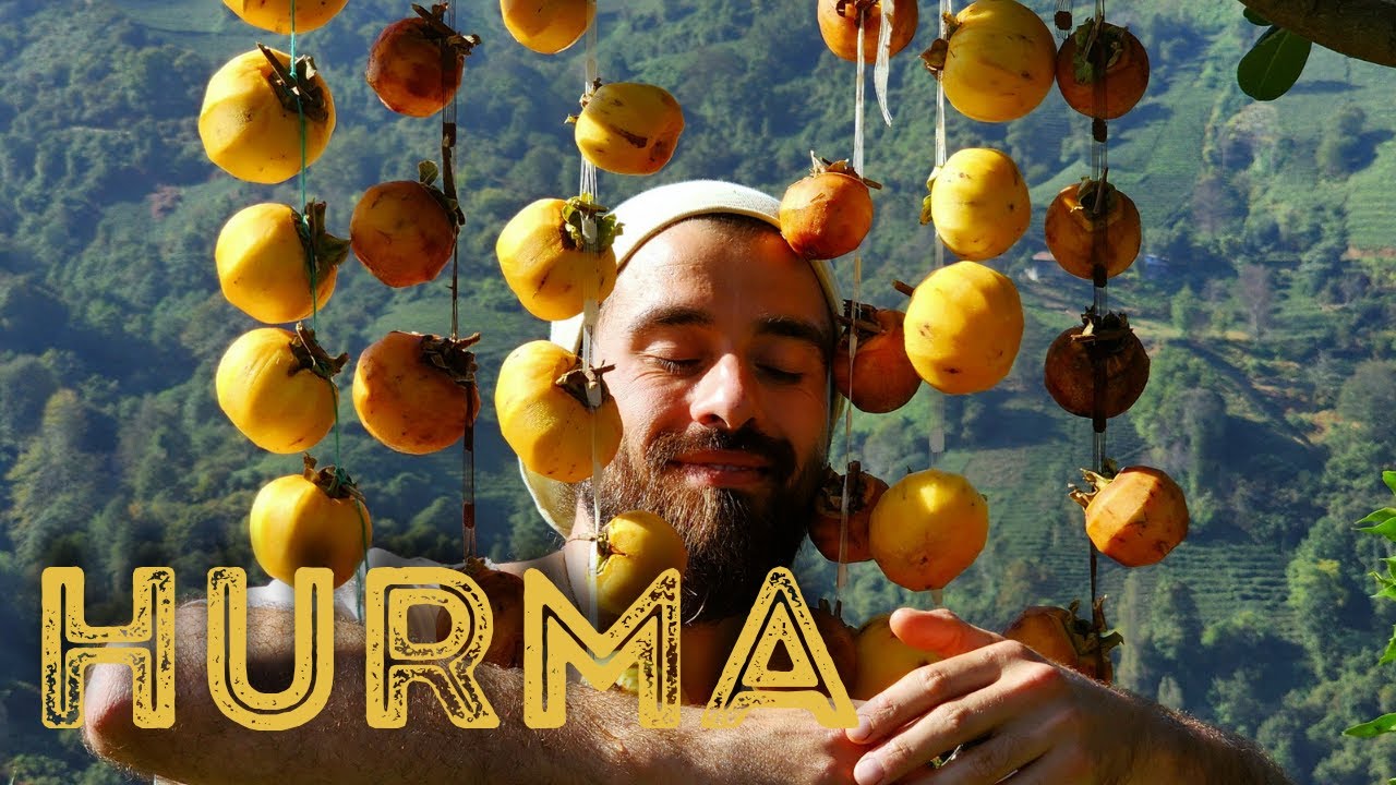 TRABZON HURMA EN MÜKEMMEL NASIL KURUTULUR?