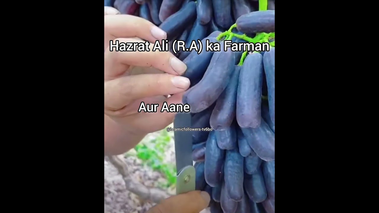 musibat Ka Hal #Allah#hadees #islamic #islamicshorts #youtubeshorts