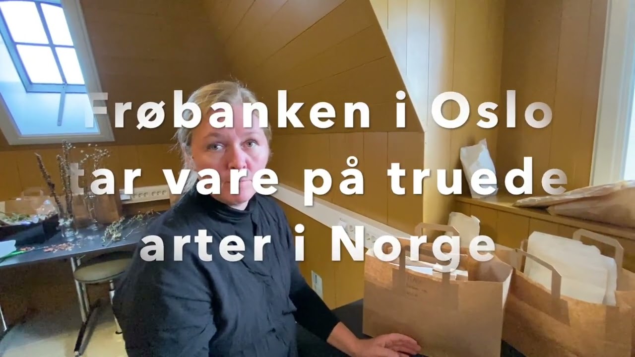 Frø i botaniske hager