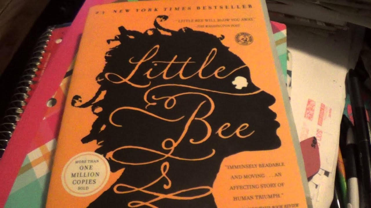 Review of Little Bee