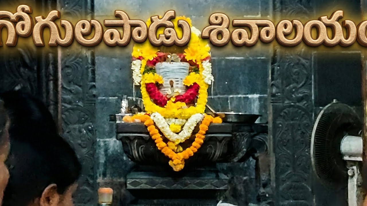Gogulapadu Sivalayam Tour | గోగులపాడు శివాలయం దర్శనం |Bogineni vlogs 