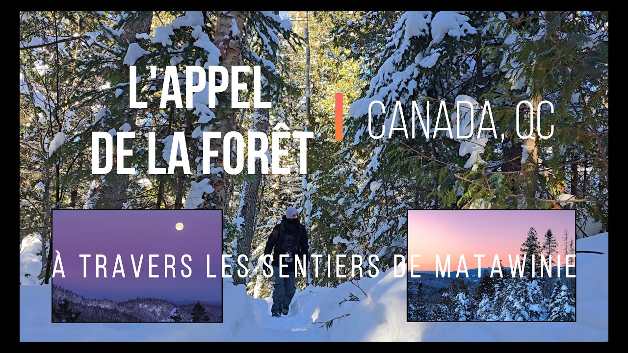 L'appel de la forêt - Sur les sentiers de Matawinie.