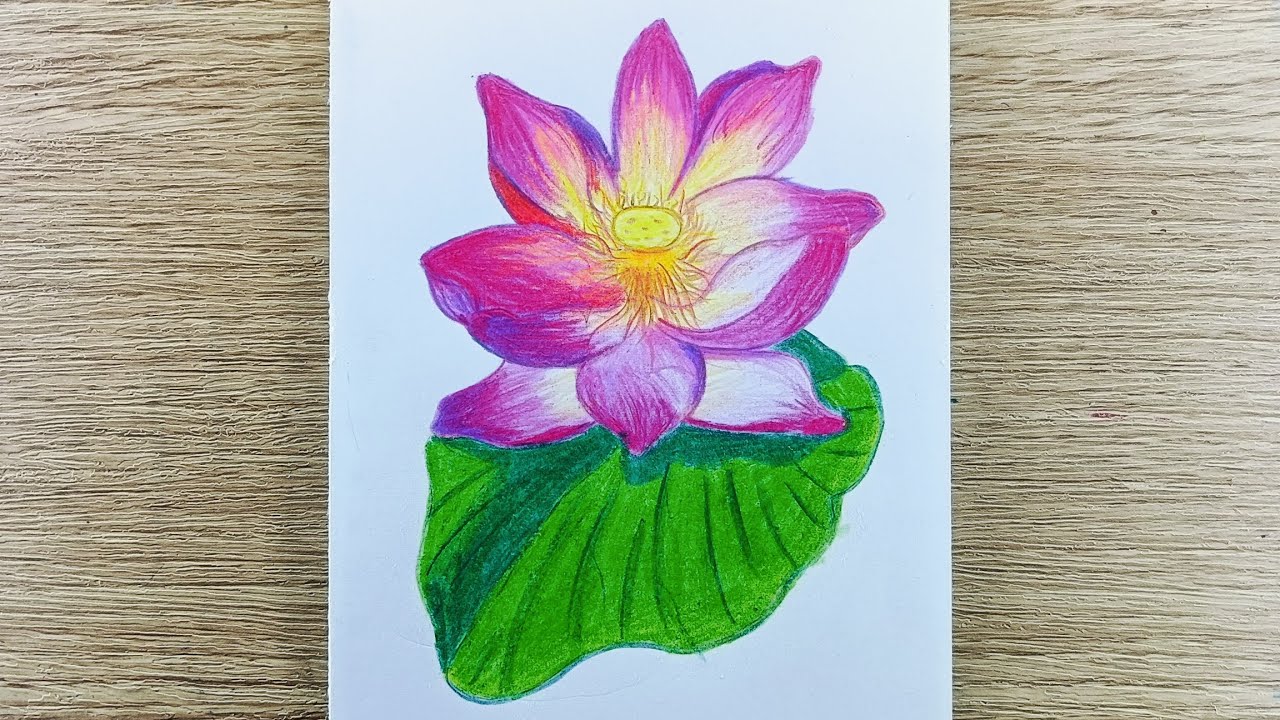 Lotus flower drawing | Easy lotus drawing| Lotus drawing step by step| Lotus drawing for kids