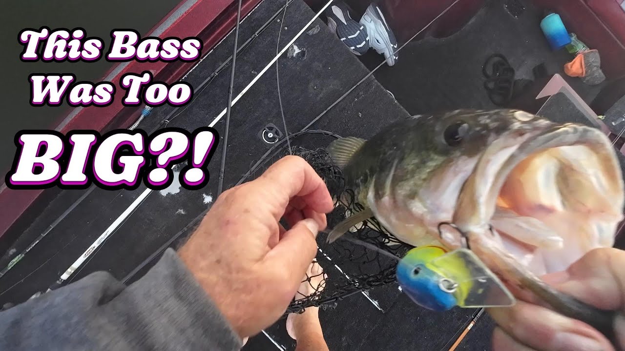 Обналичивание чека на фестивале Big Bass Bash