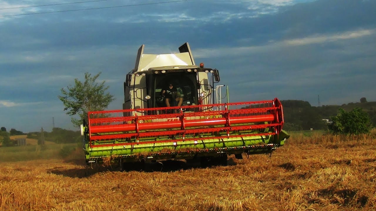 Agroterm Kft 2017 Summer Harvest