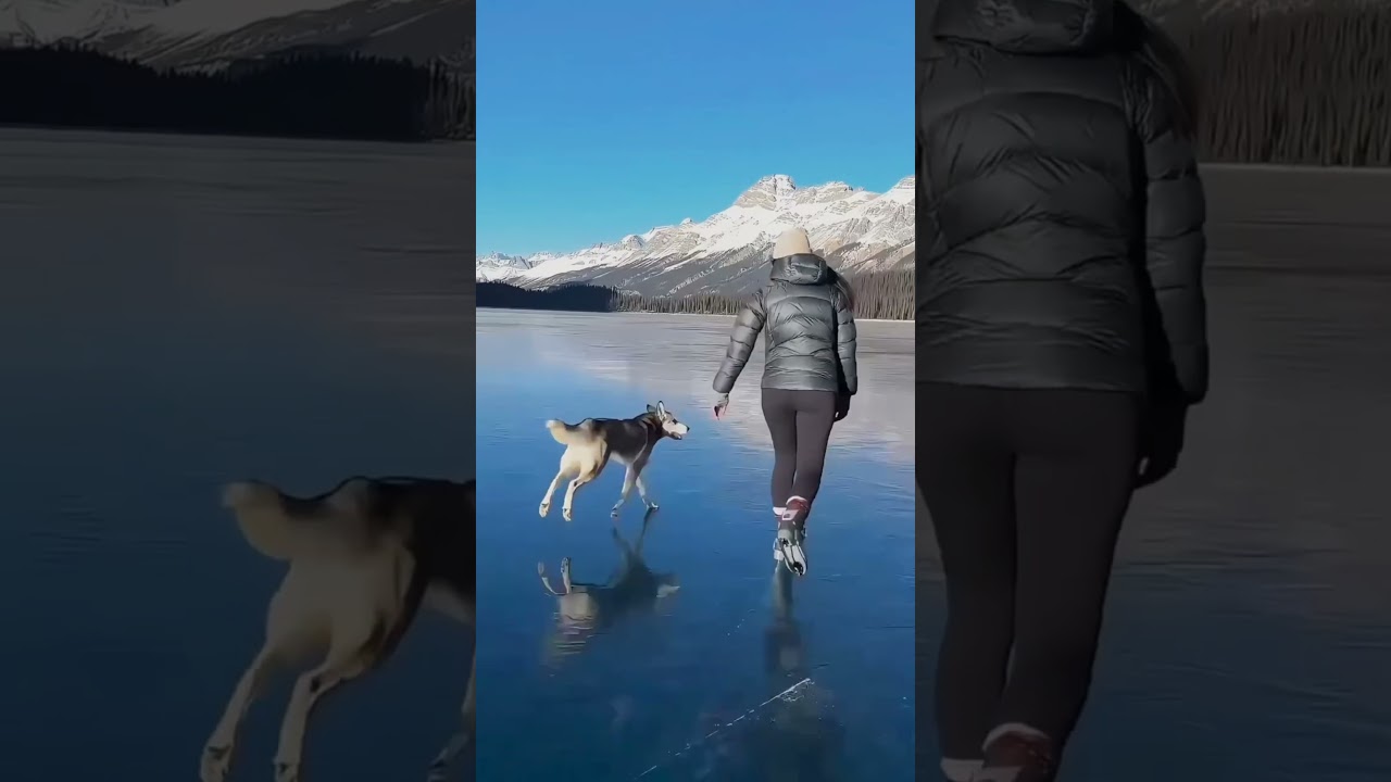 этот турист удивил всех😮😮 