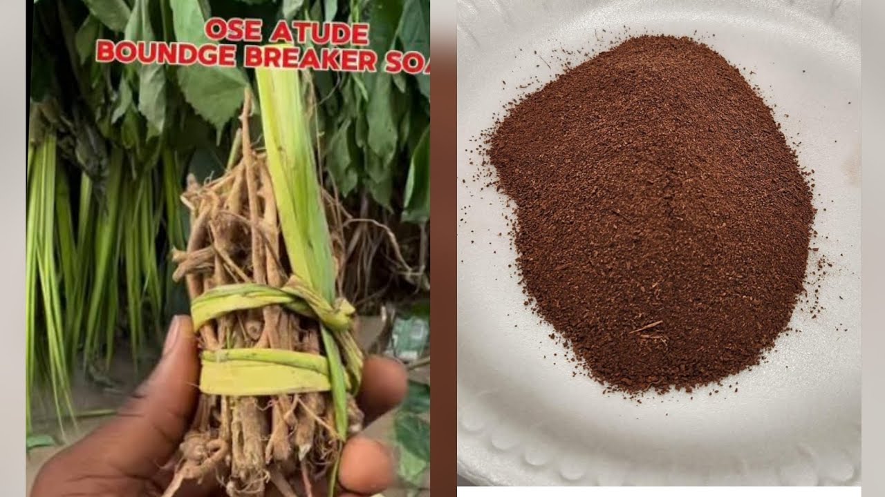(OSE TI AFIBA) 💥 ASASI IDIWO 💥 ABILU ARANSI 💥 OFA OTA JE LARA 🌿YARA ITUSILE NINU OGUN AYE TV 🌿
