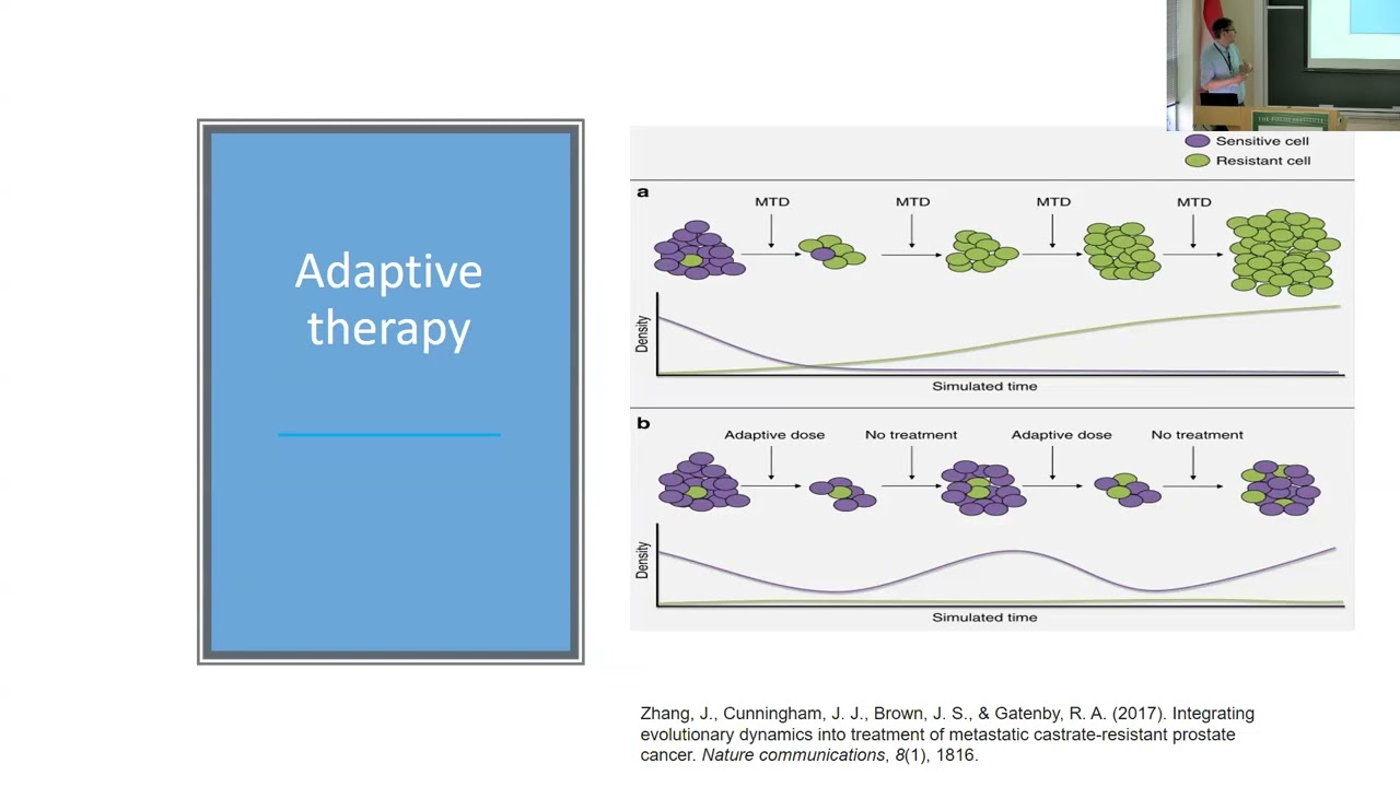 Incorporating drug toxicity into models of adaptive therapy