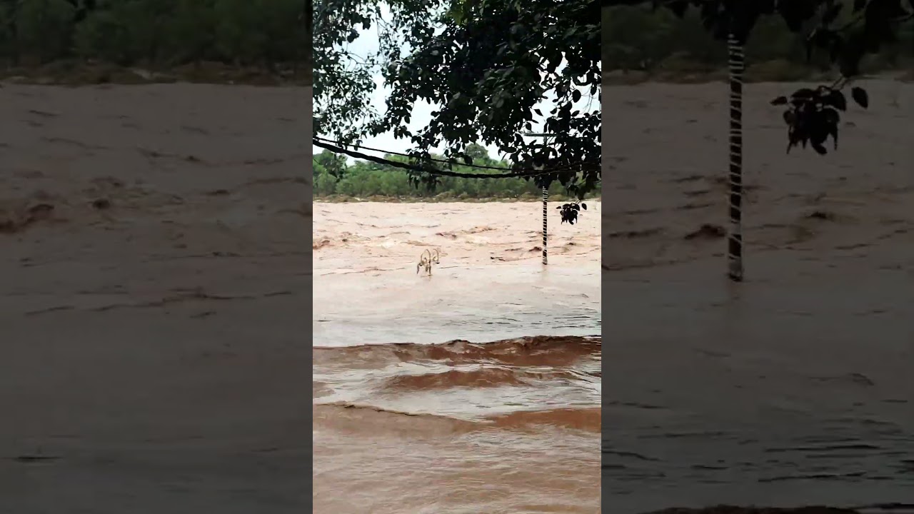 # Chenab River overflowing above danger Mark