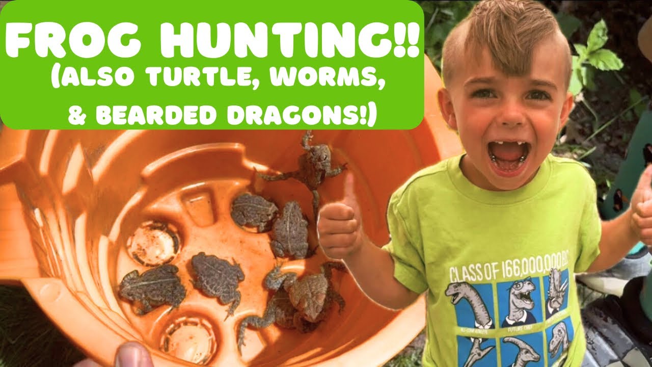 Frog Hunting Adventure! 🐸 Toads, Turtles, Bearded Dragons & Worms in the Wild!