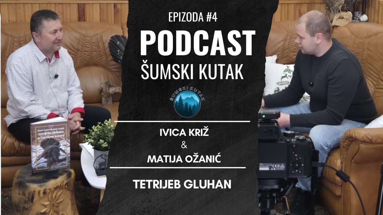 Podcast Šumski kutak---Tetrijeb gluhan (Ivica Križ)