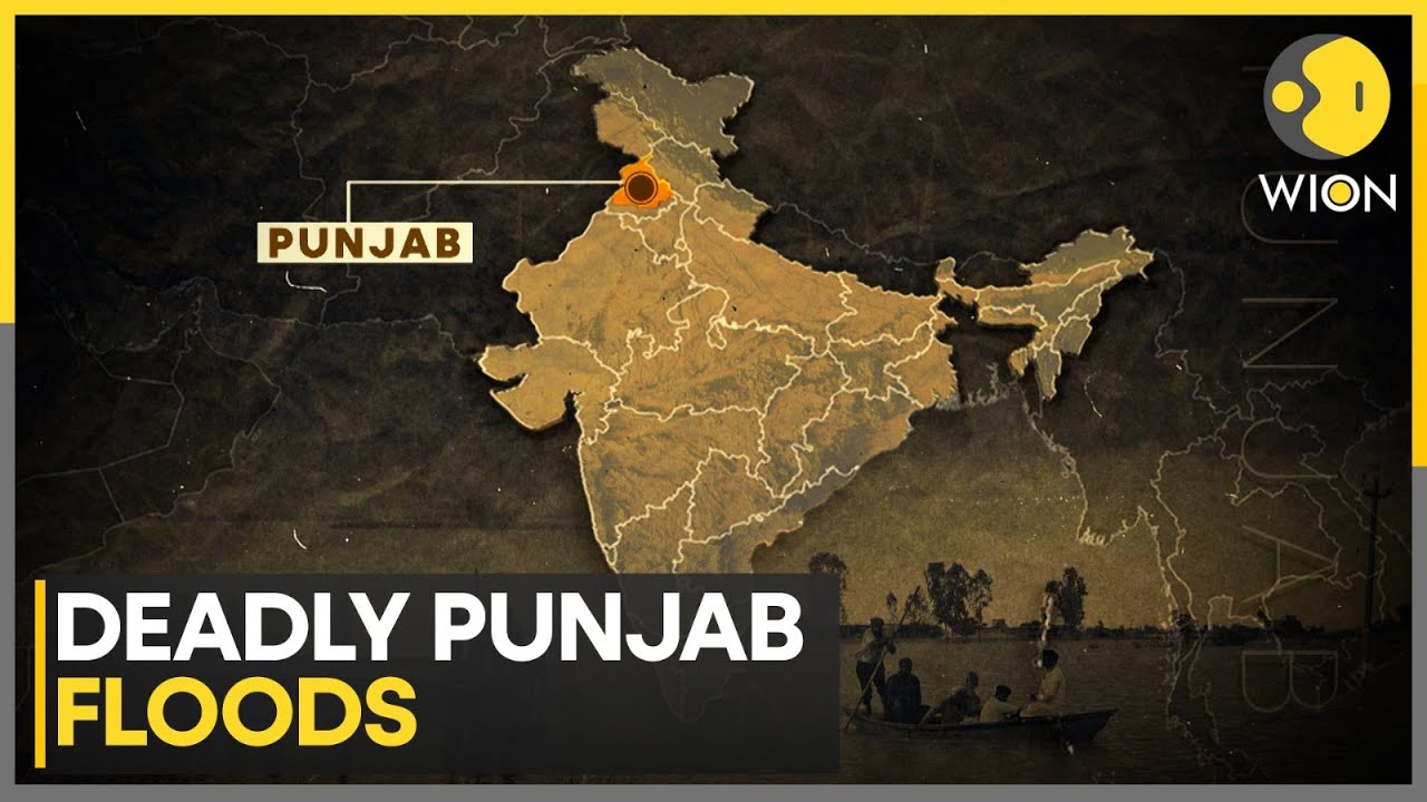 Punjab Battles Worst Floods in Decades | 43 Dead | WION WIDEANGLE