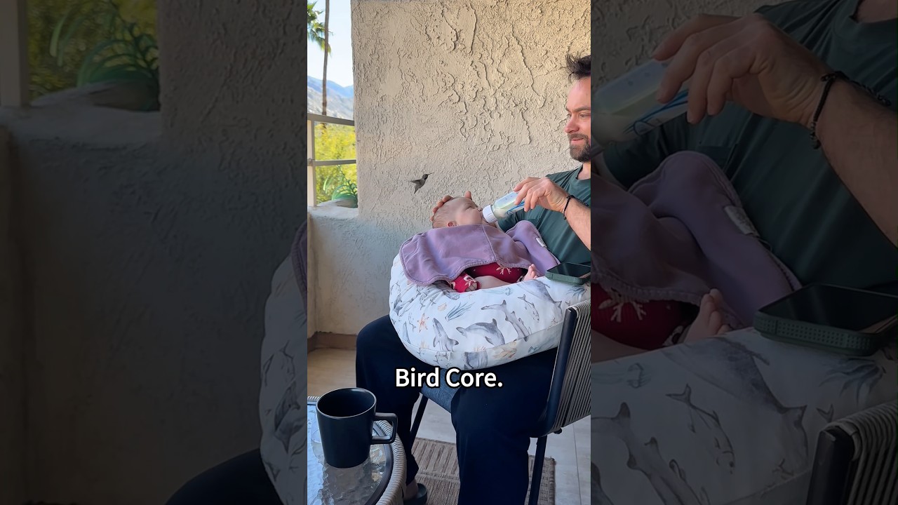 NPC bird glitching #bird #birds #funny #hummingbird #shorts