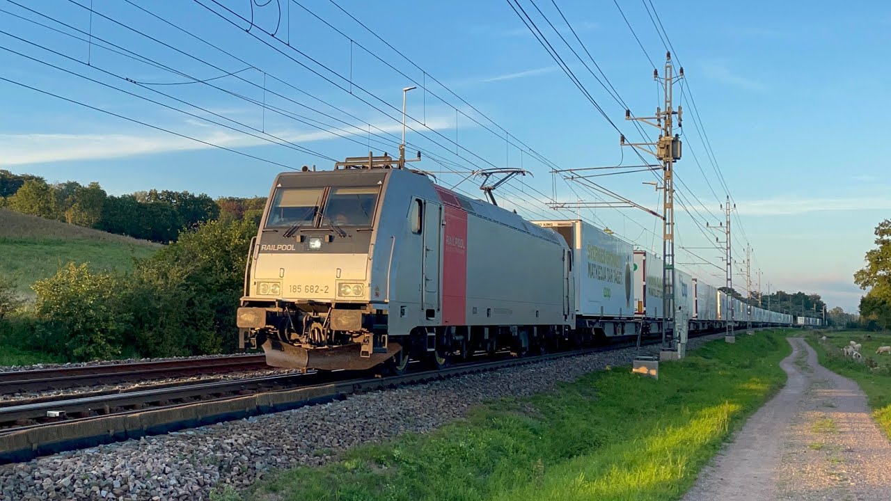 Tåg i Hässleholm och Stehag | Trains in Hässleholm and Stehag