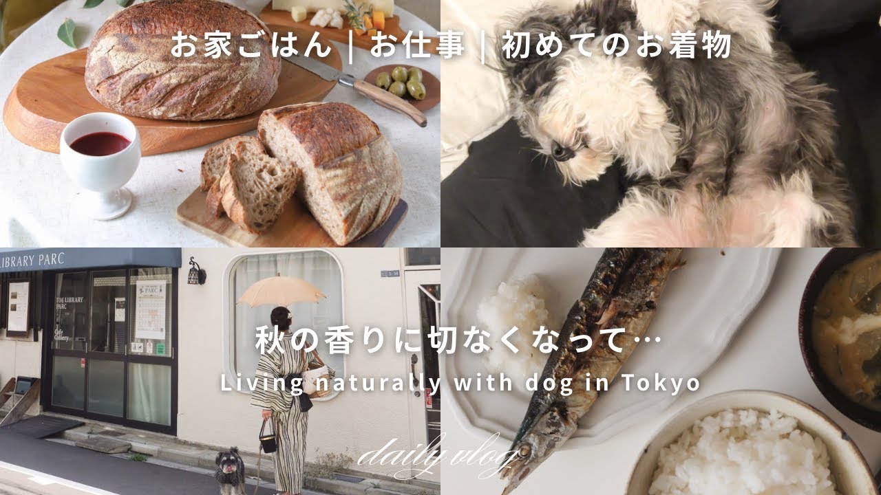 Autumn vlog 🍁 秋の日常 | お家ごはん | 初めてのお着物着付け | 器の購入品