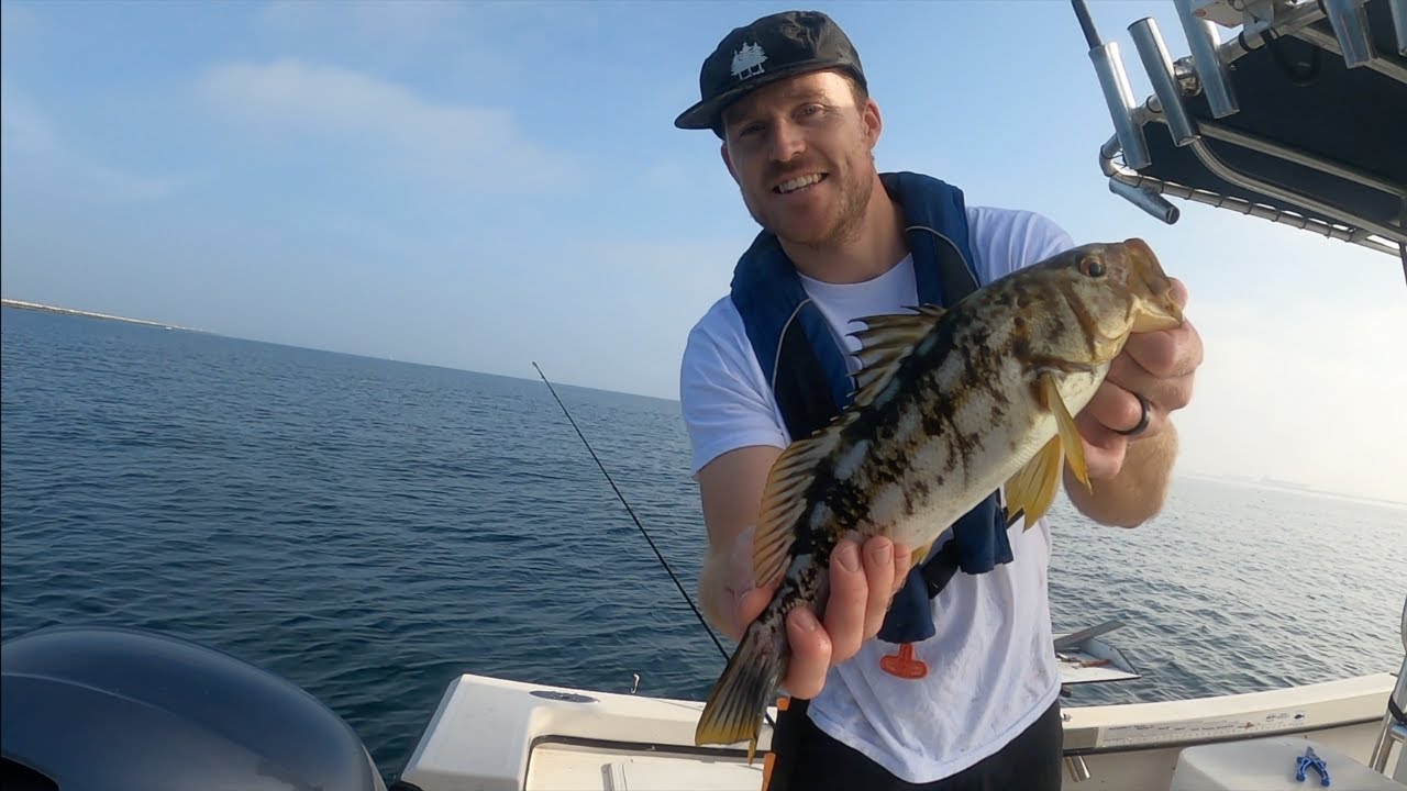 SoCal Breakwall Fishing at Its Best — Big Sculpin, Rockfish & Calicos