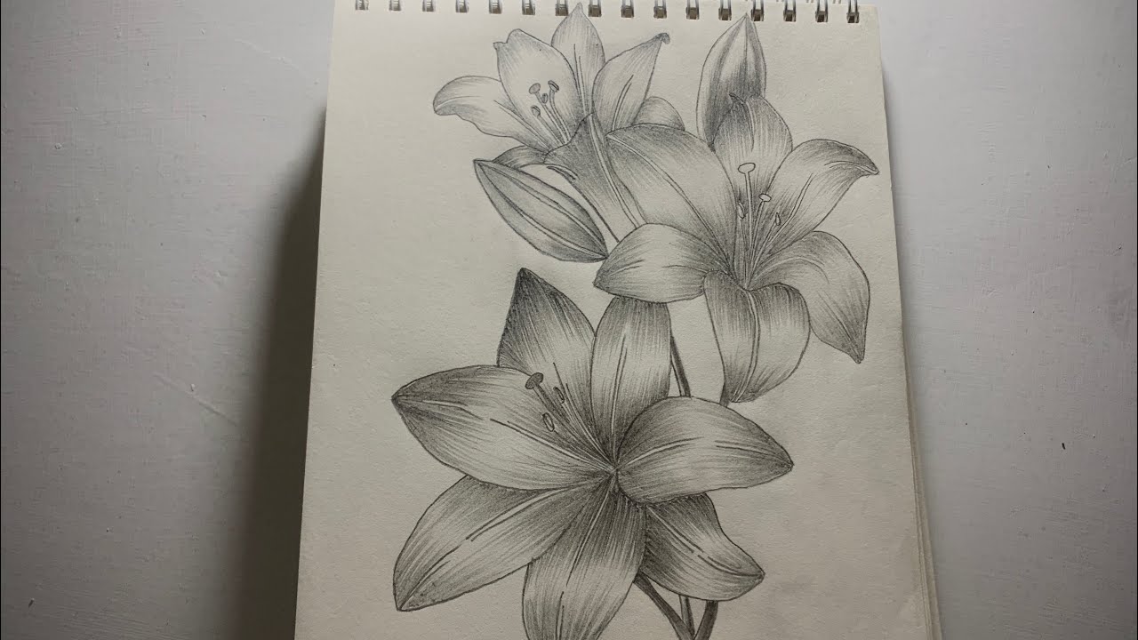 Beautiful Flower Pencil Drawing | Easy Art Tutorial
