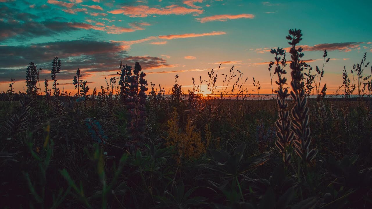 Vocal Trance Mix | Time Of Our Lifes | Flopi Music Mix |