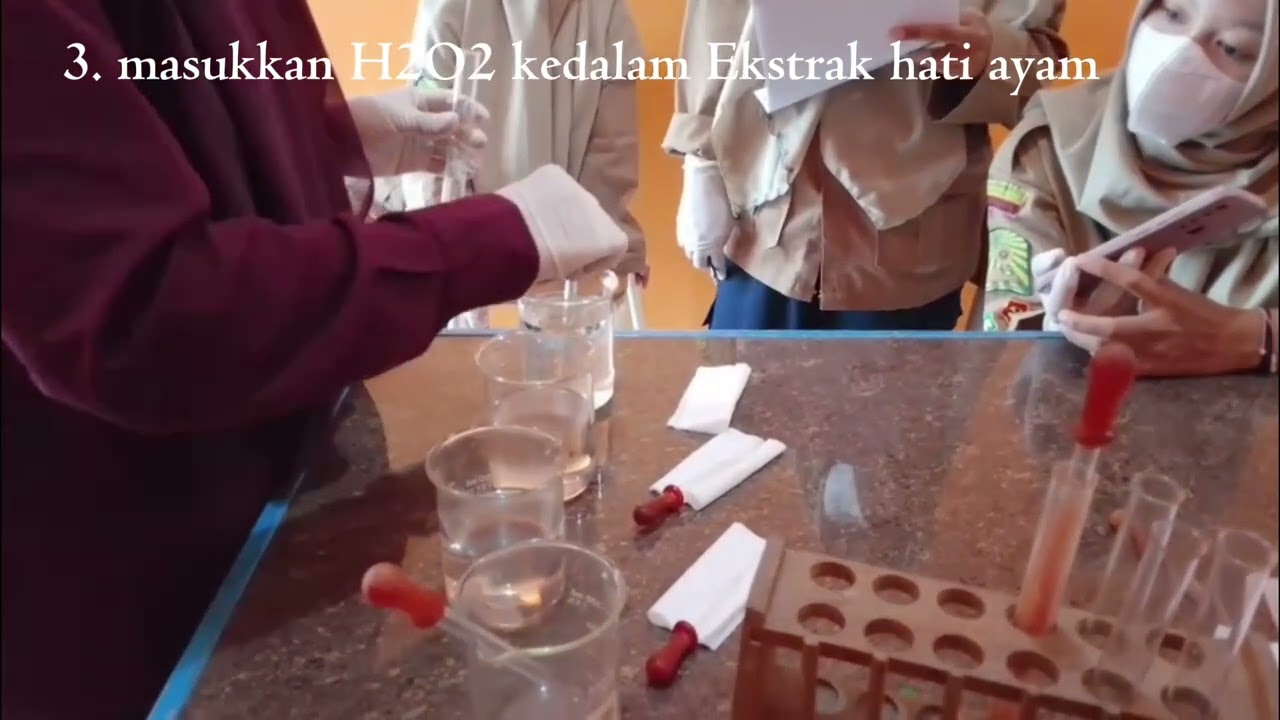 Tugas praktikum biologi  Uji coba enzim katalase pada hati ayam