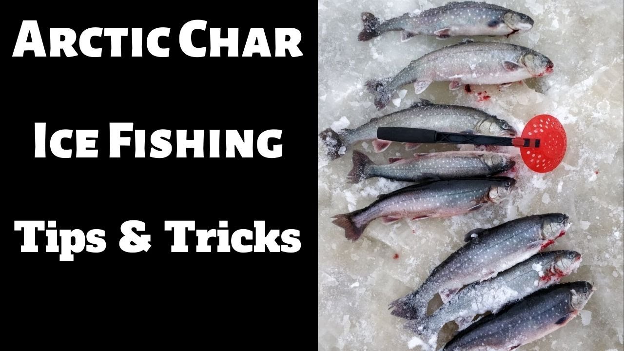 Arctic Char ice fishing tips 2019 4k