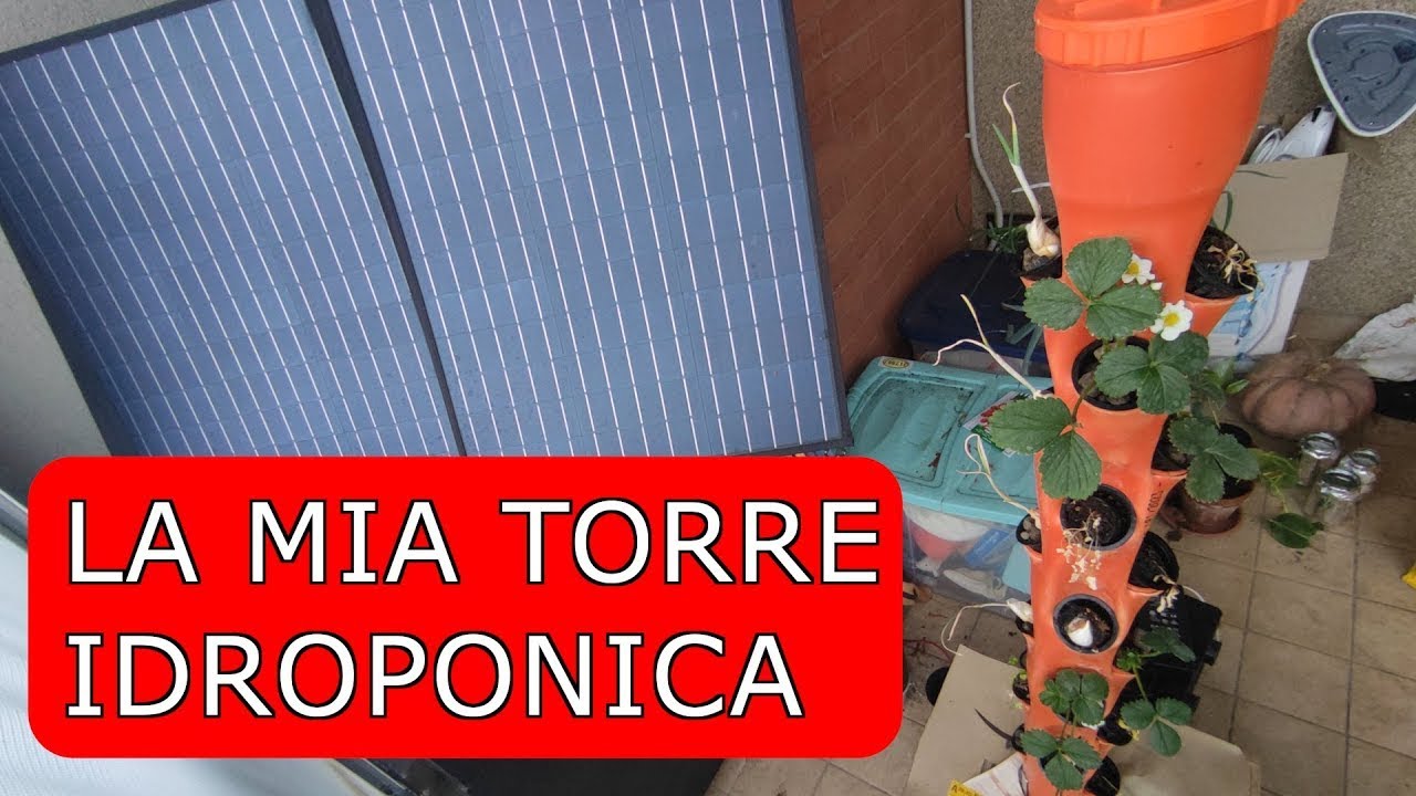 La mia torre idroponica