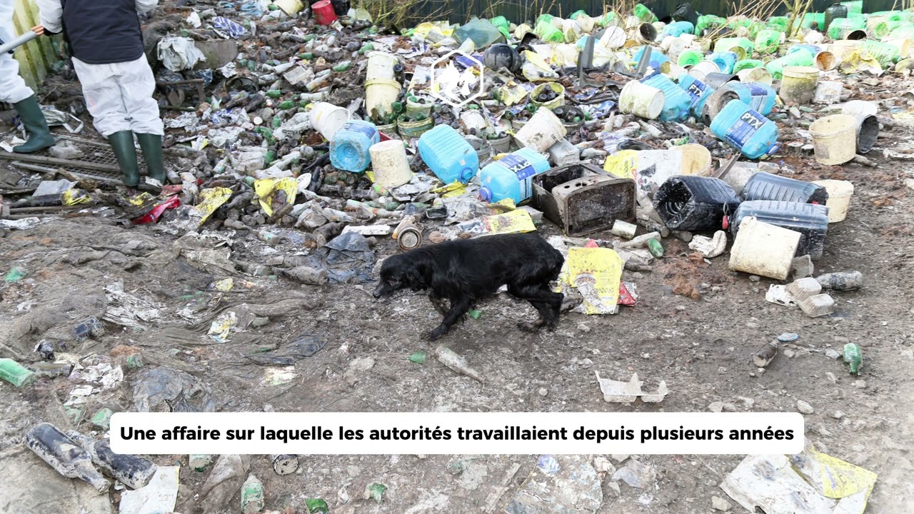 Sauvés de l’enfer : retour sur le sauvetage des chiens de Chooz / Février 2025