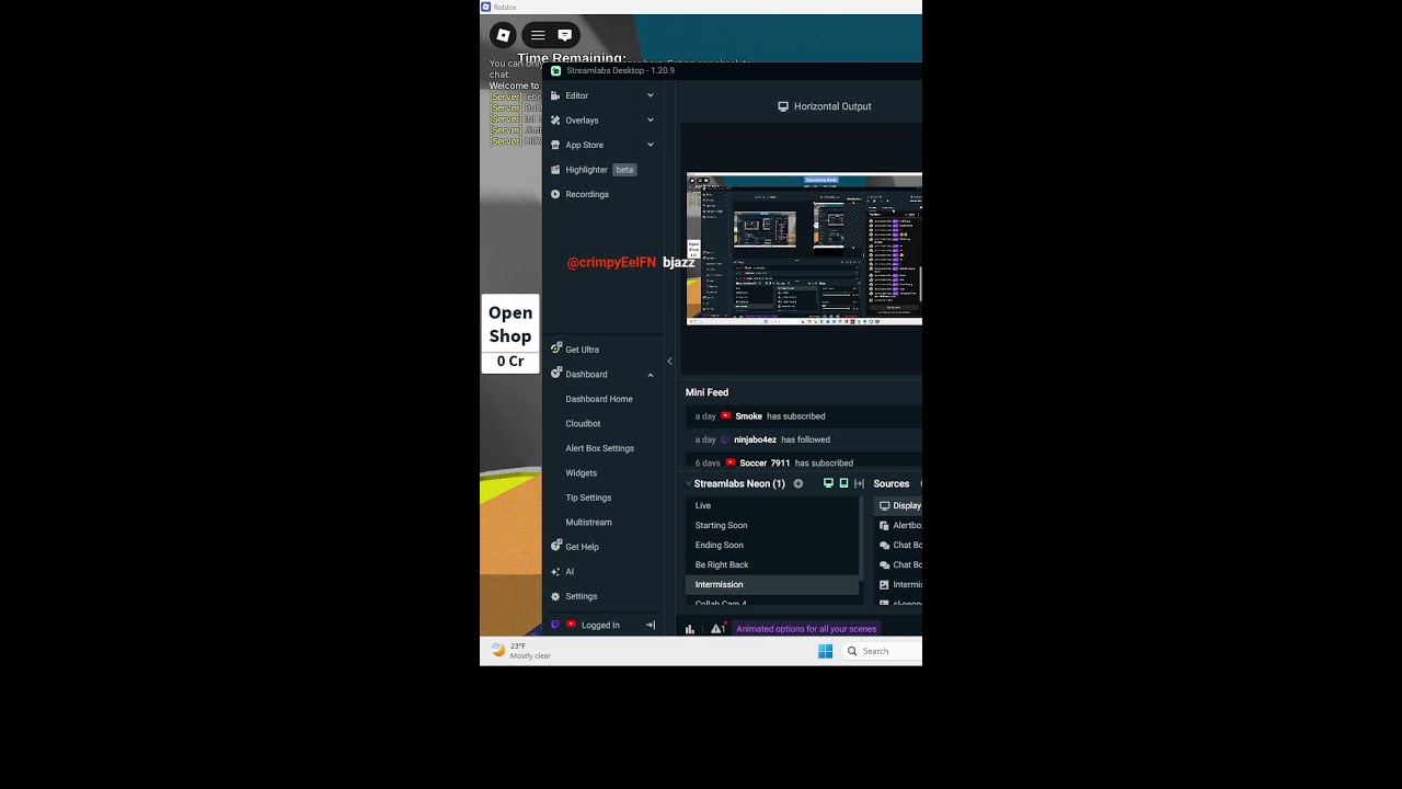 playing games on roblox