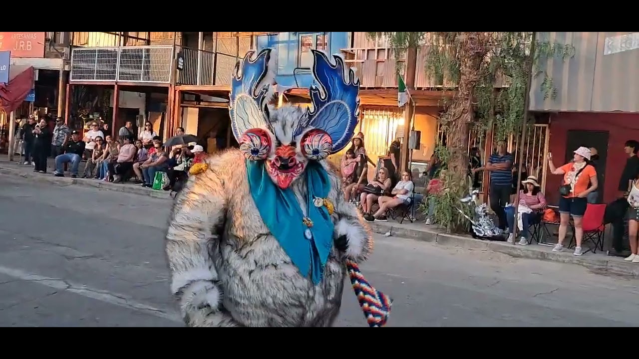 Banda Los Tote 🎵  Tirana 2025