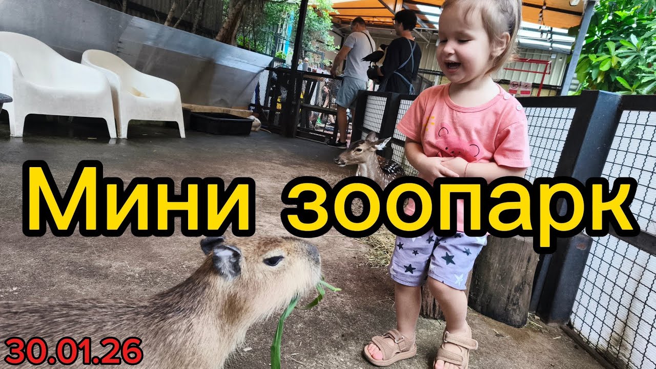 Контактный мини зоопарк в Бангкоке. Little zoo garden capybara cafe. Тайланд 2026. Зимовка с детьми.