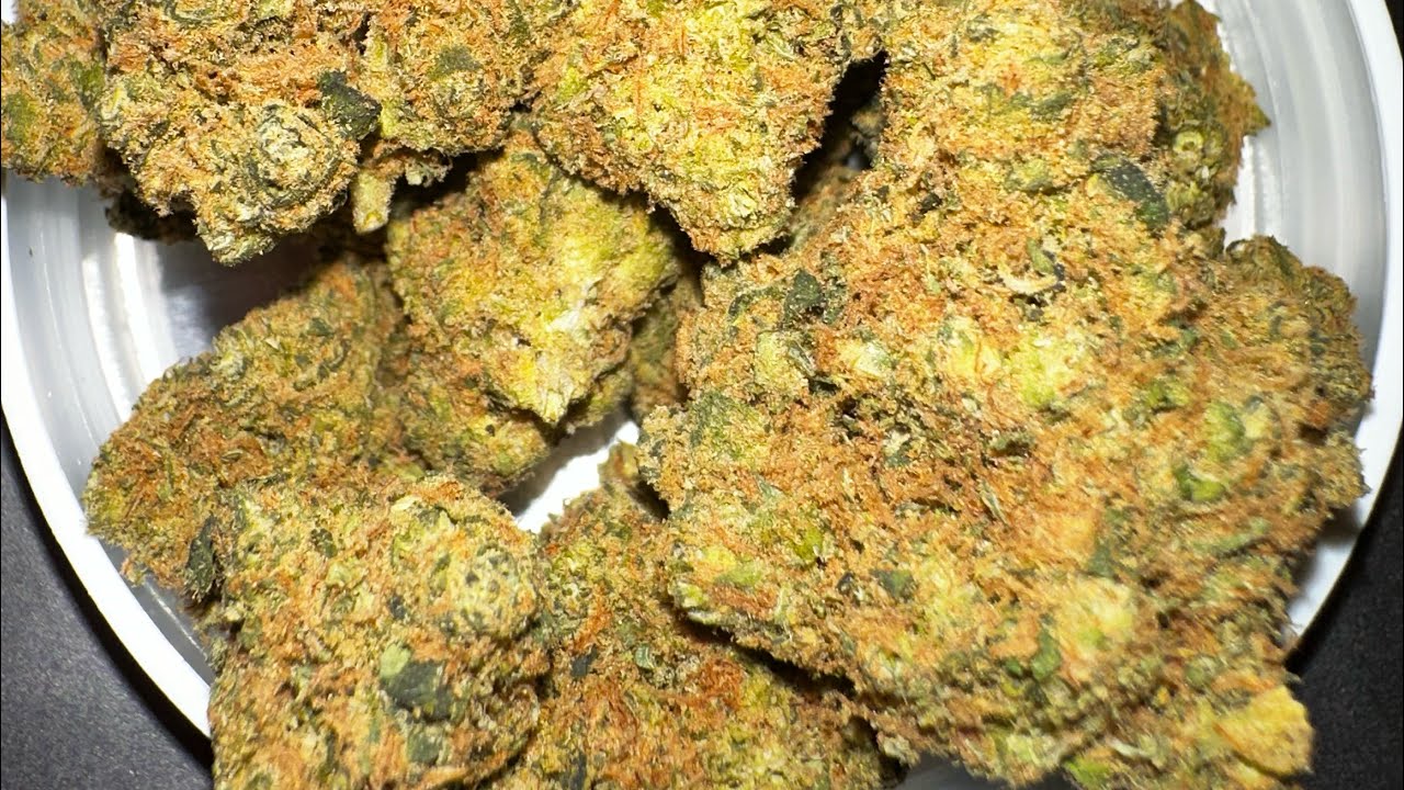 Critical Kush🍋🌶️🪵 23/1 - Avaay Medical - Medizinisches Cannabis - Next Review