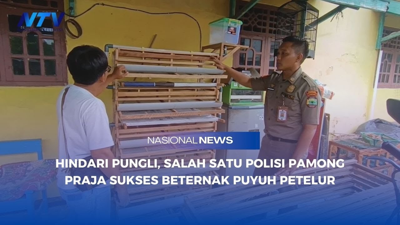 HINDARI PUNGLI, SALAH SATU POLISI PAMONG PRAJA SUKSES BETERNAK PUYUH PETELUR