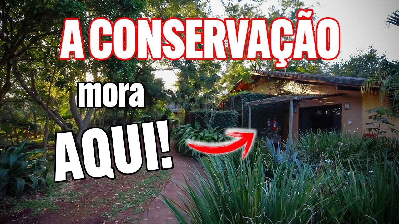 Guia da trilha da POUSADA GUATA PORÃ - Guia da Floresta