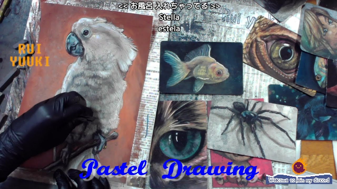 Graceful Parrot Art in Soft Pastels/パステルで描く、オウムの優雅な姿