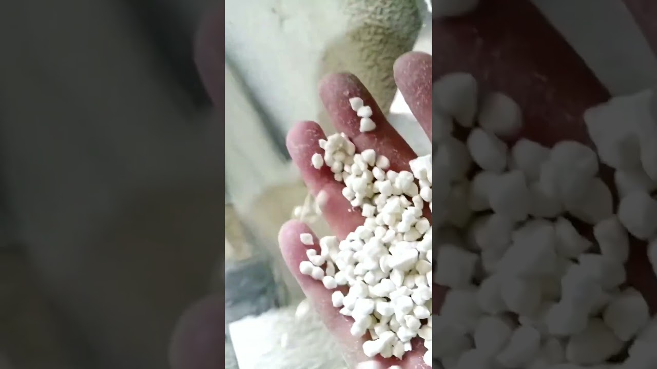 NPK Extrusion granule fertilizer production line  #fertilizer #pelletindustry