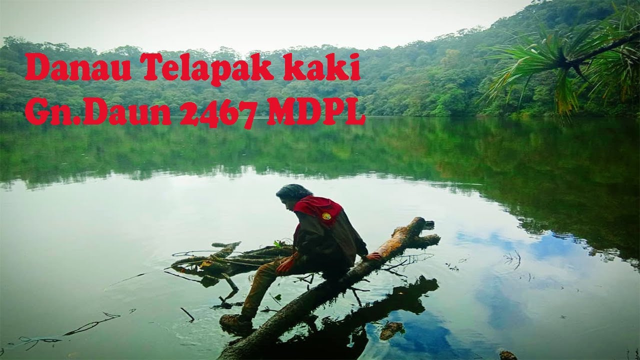 Pendakian gunung daun 2467 mdpl #part2 #danautelapakkaki