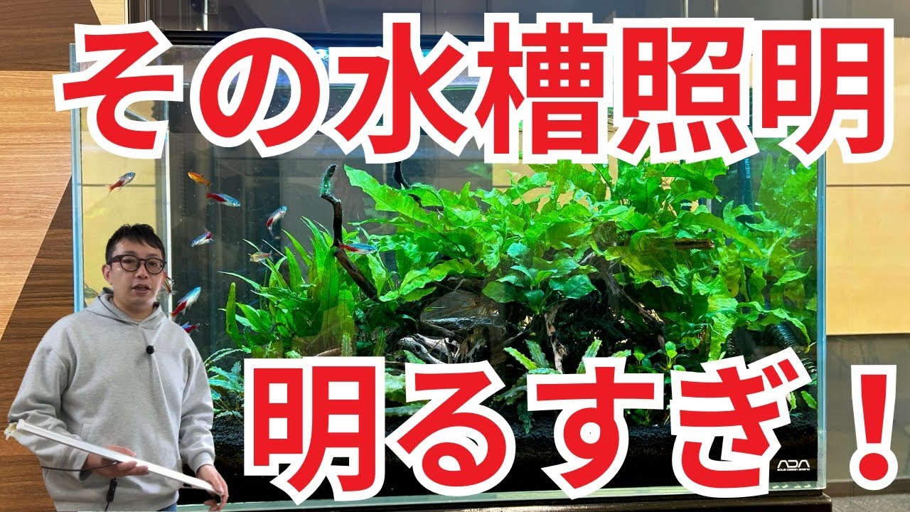【正しい選定方法】水槽用LED照明、