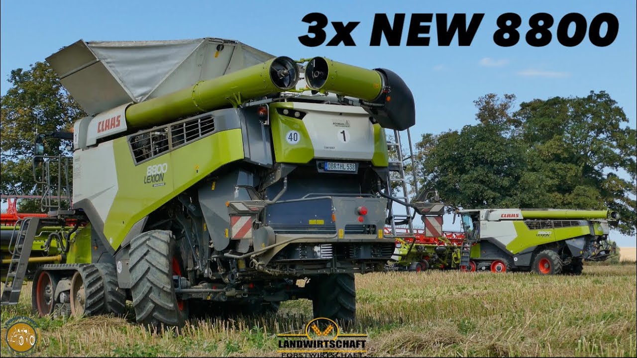 Gut Hohen Luckow in der Raps Ernte 3 Mähdrescher im Einsatz NEW Lexion 8800 Landwirtschaft 2024