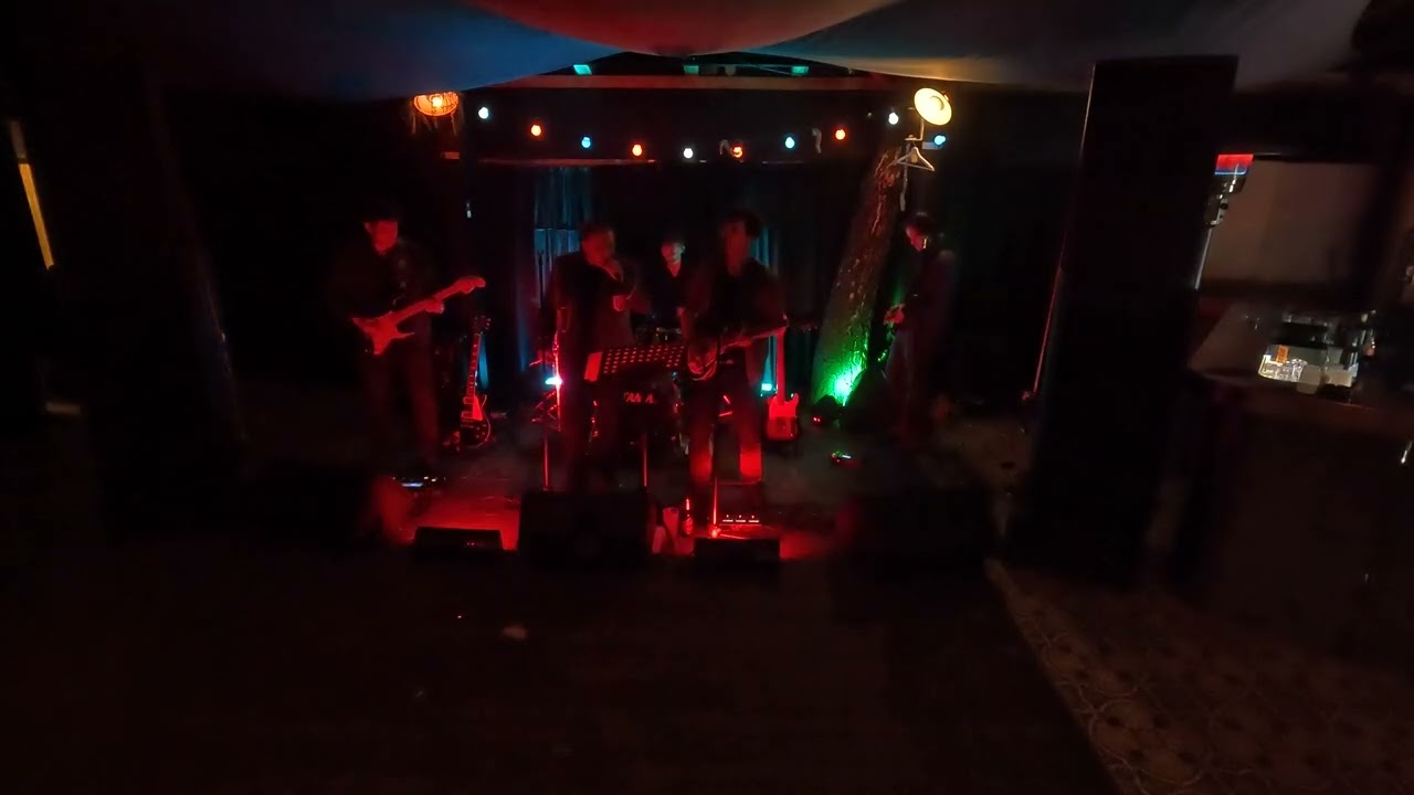 Bitter Trigger - Can't Stop (Red Hot Chili Peppers Cover)