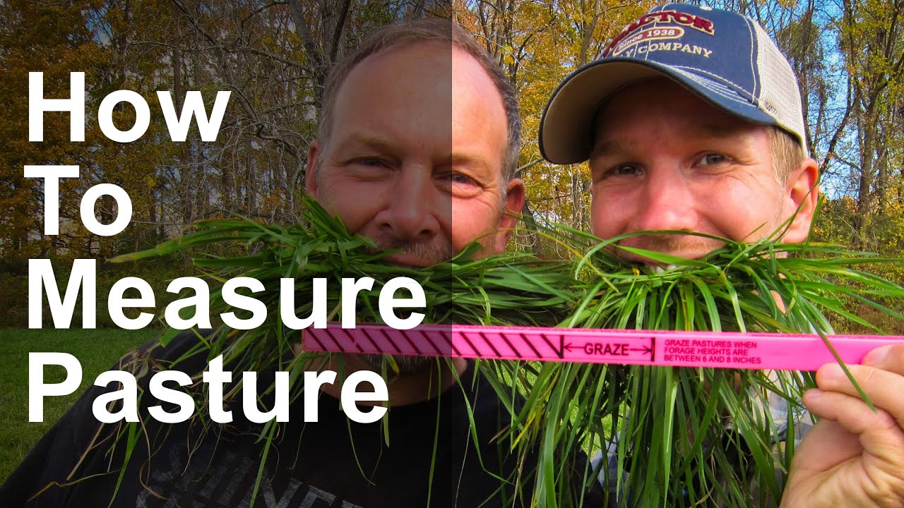 How To Measure Pasture For Livestock
