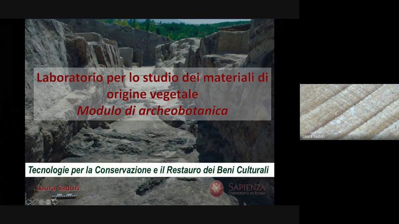 Laboratorio dei materiali di origine vegetale