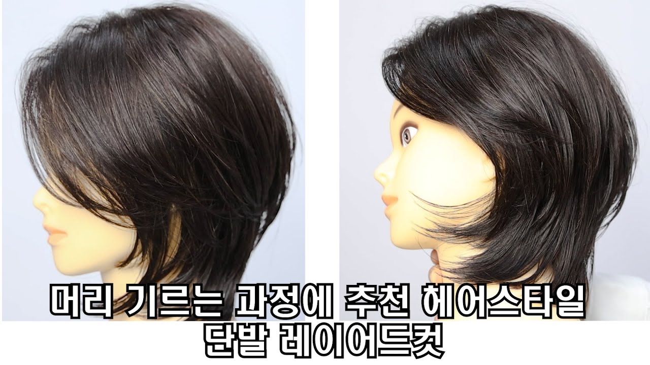 *단발레이어* 도해도 이벤트 영상
