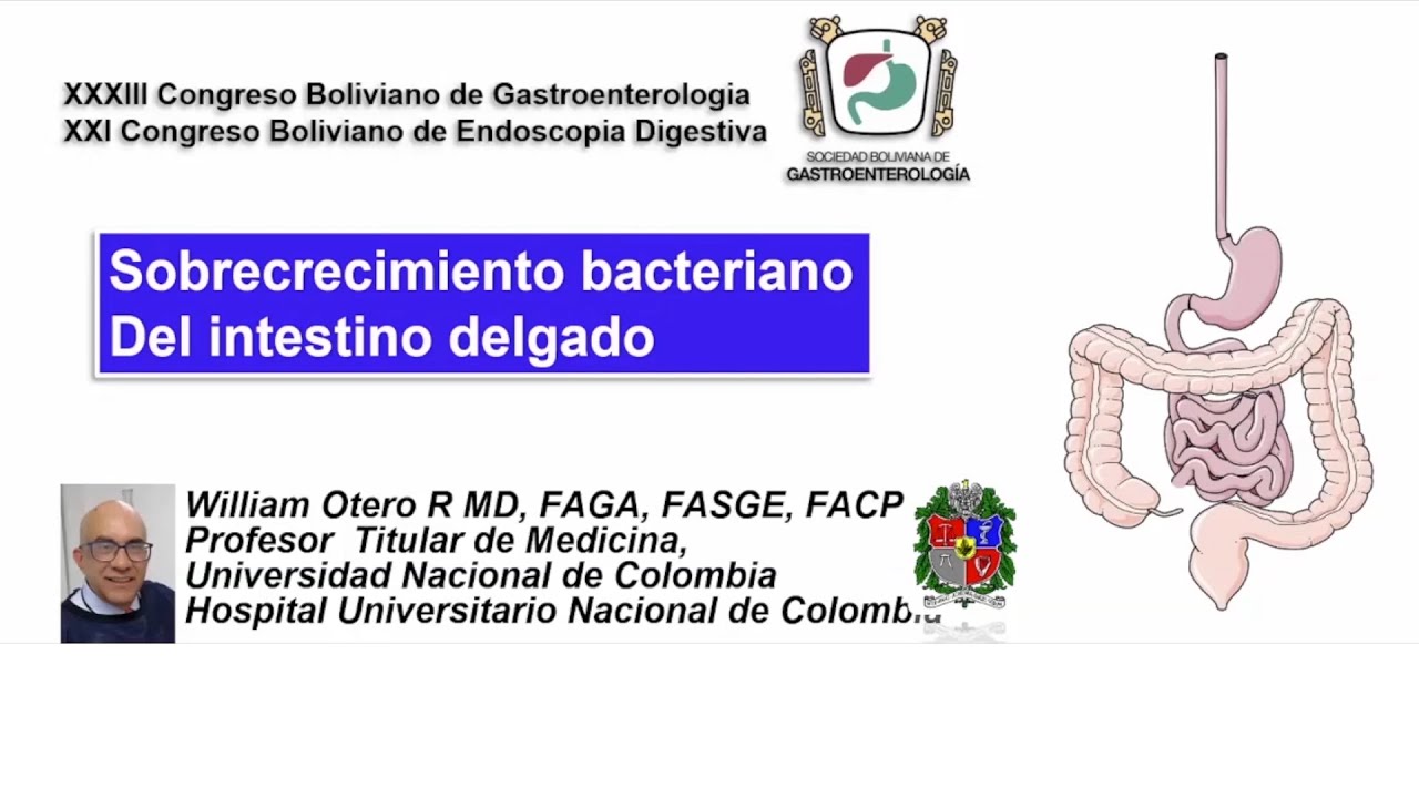 SIBO Las abundantes bacterias que pueden ser nocivas para el ser humano