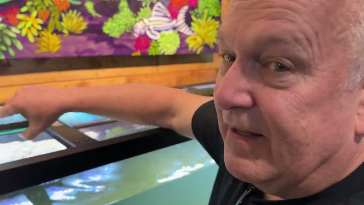 Mini Musk Turtle Surprised Us -  Fish Room Update Ep. 123